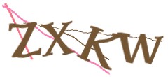 Identifying code