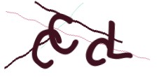 Identifying code