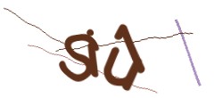 Identifying code