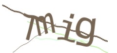 Identifying code