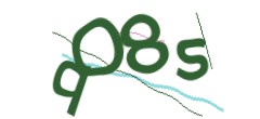 Identifying code
