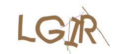 Identifying code