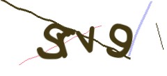 Identifying code