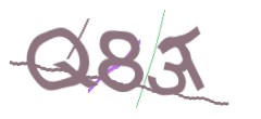 Identifying code