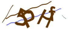 Identifying code