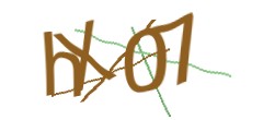 Identifying code