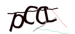 Identifying code