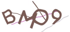 Identifying code