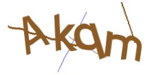 Identifying code