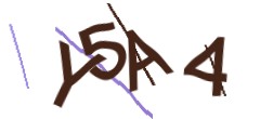 Identifying code