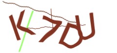 Identifying code