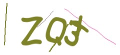 Identifying code