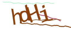 Identifying code