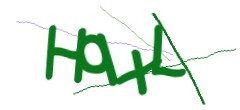 Identifying code