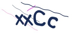 Identifying code