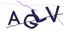 Identifying code