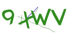 Identifying code