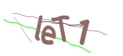 Identifying code