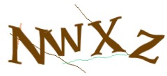 Identifying code