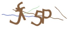 Identifying code