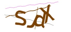 Identifying code