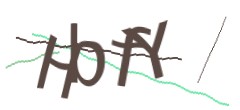 Identifying code