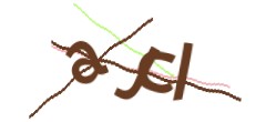 Identifying code