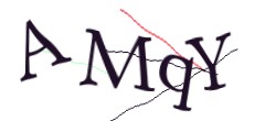 Identifying code