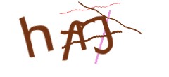 Identifying code