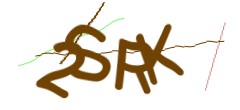 Identifying code