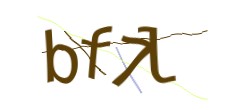 Identifying code