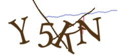 Identifying code