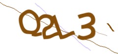 Identifying code