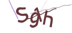Identifying code