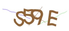 Identifying code