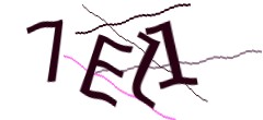 Identifying code