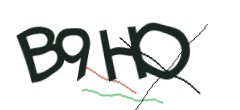Identifying code