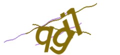 Identifying code