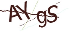 Identifying code