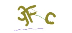 Identifying code