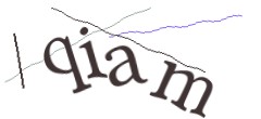 Identifying code
