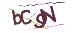 Identifying code