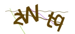 Identifying code