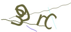 Identifying code