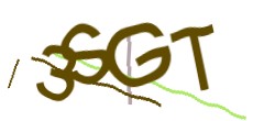 Identifying code