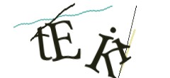Identifying code