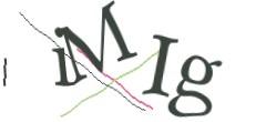 Identifying code