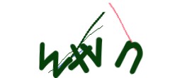 Identifying code