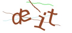 Identifying code