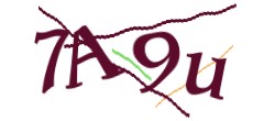 Identifying code